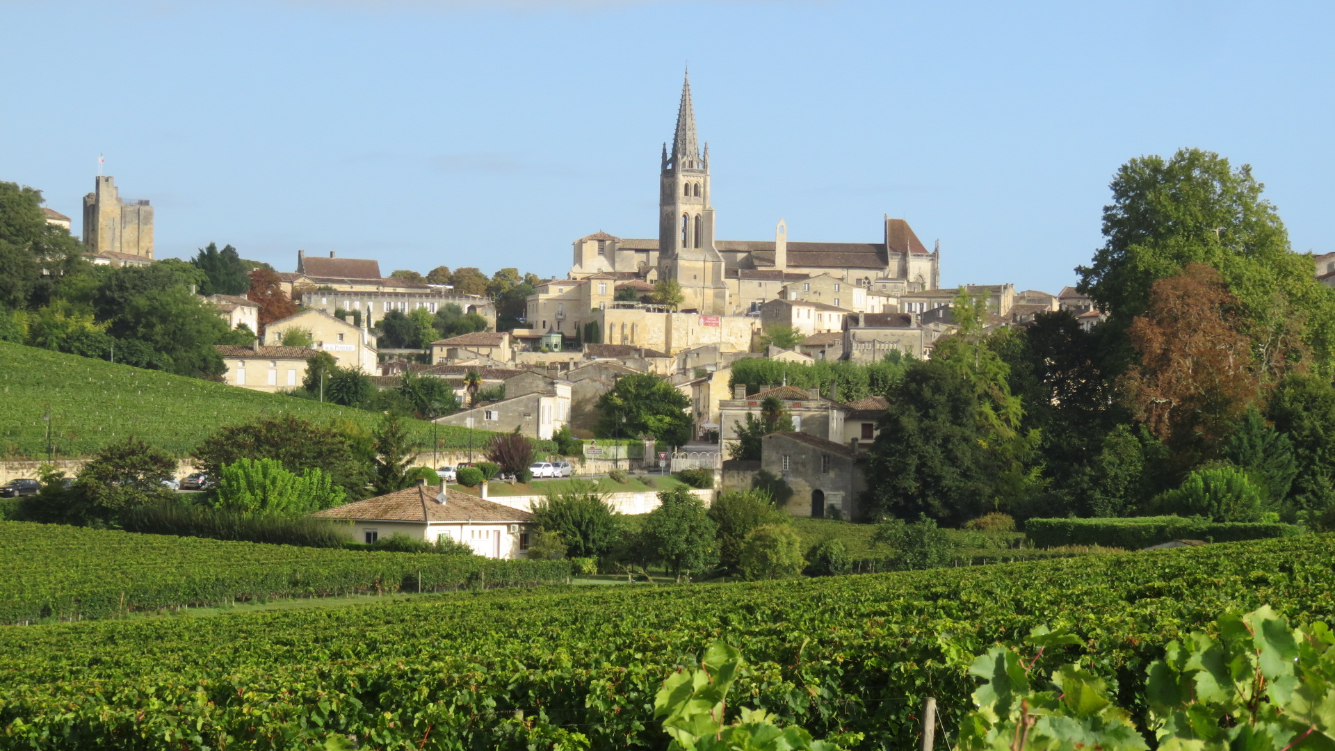 A short overview of the Bordeaux vineyard