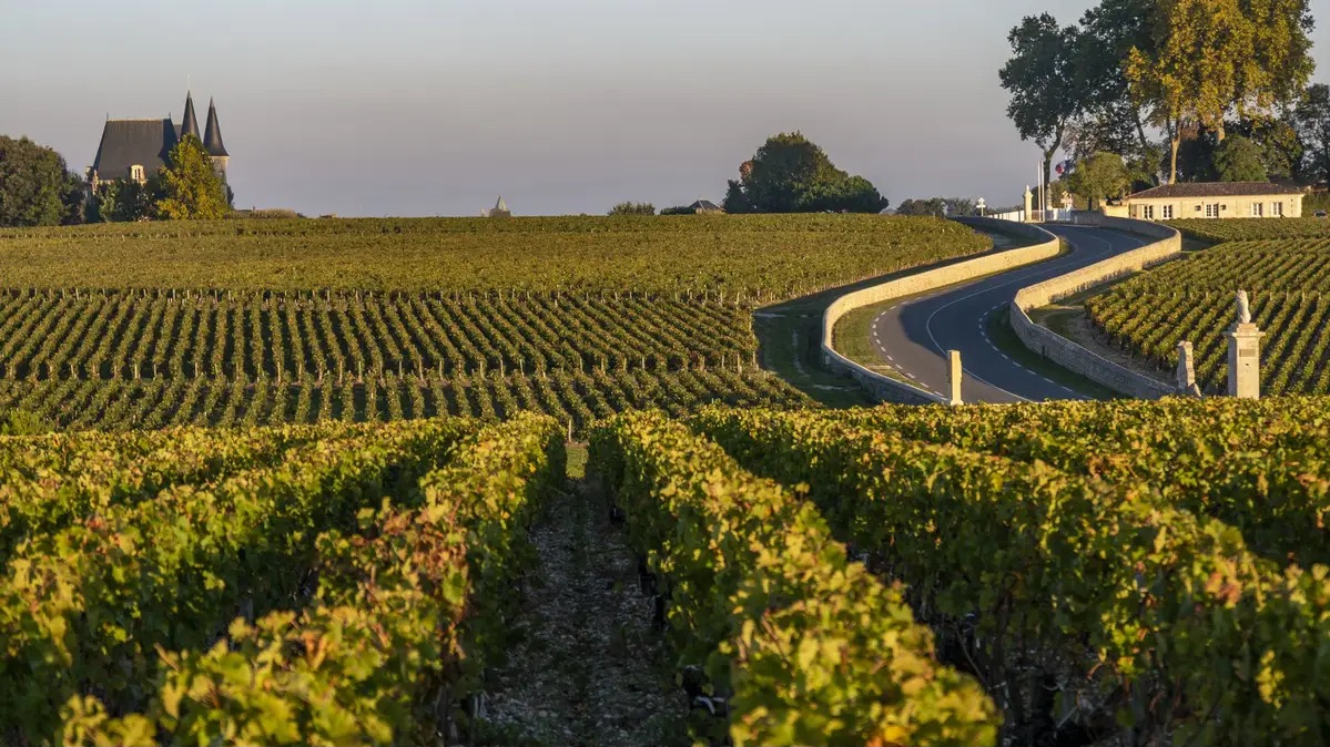 Medoc vineyards road
