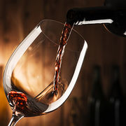Around wine: what to do in Bordeaux