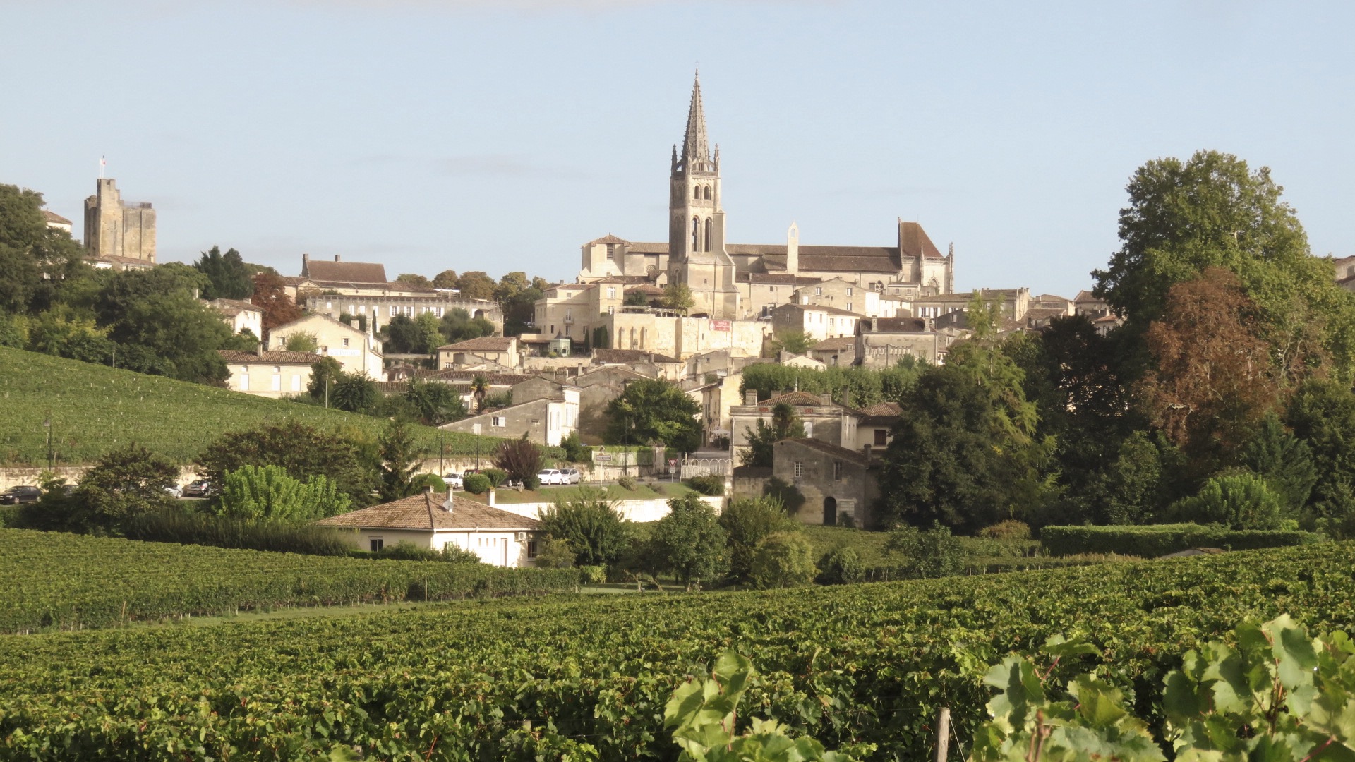 Saint Emilion view